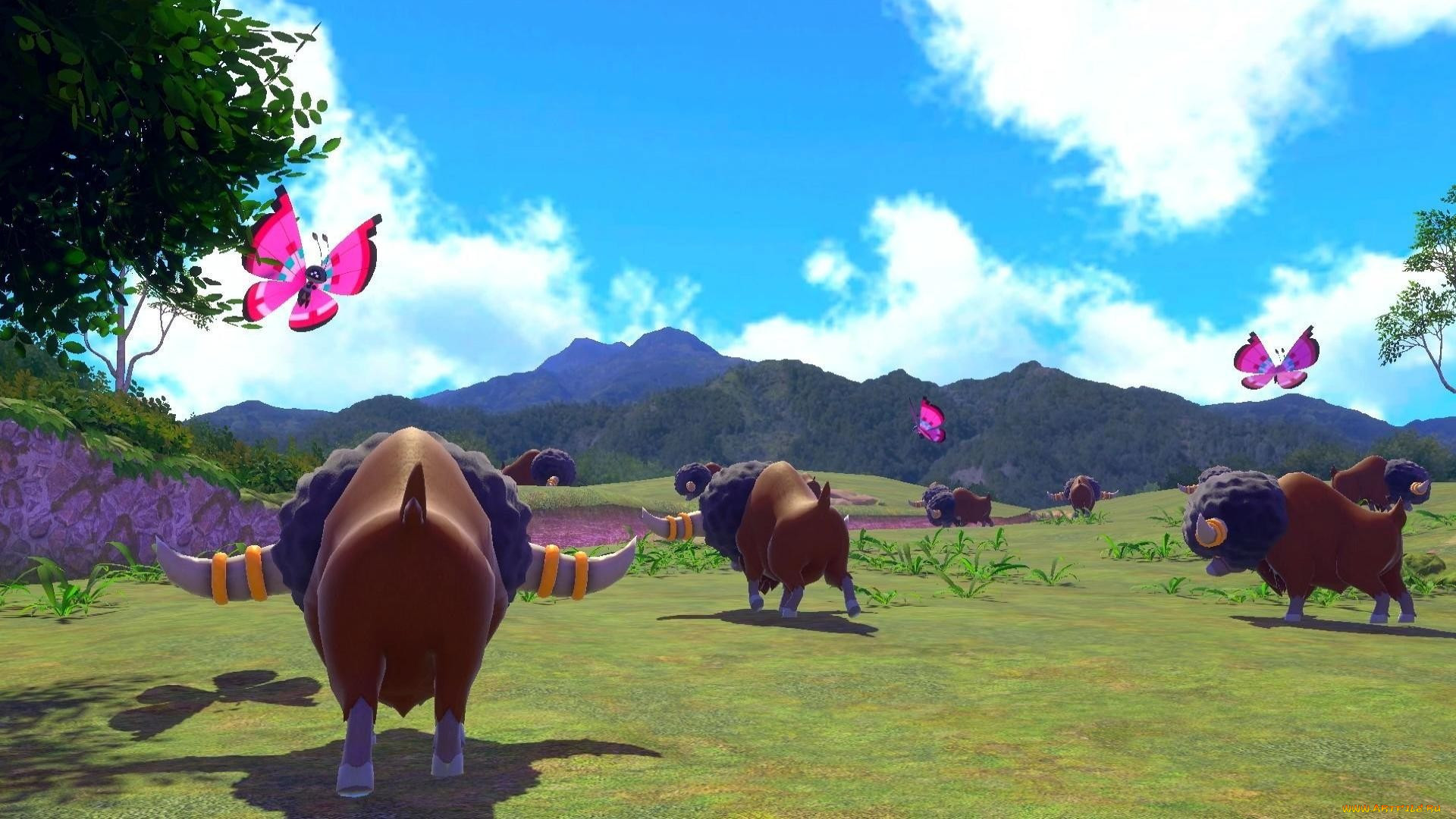  , new pokemon snap, , , 